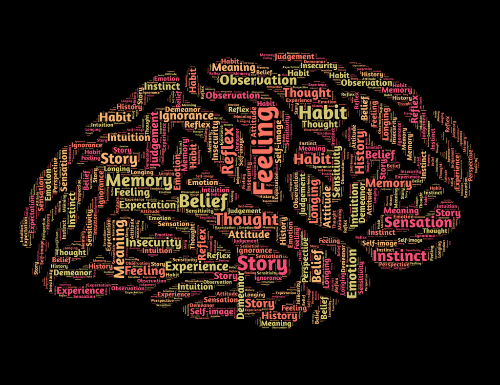 brain shape or graphic with a ton of words written on it with three different colors.